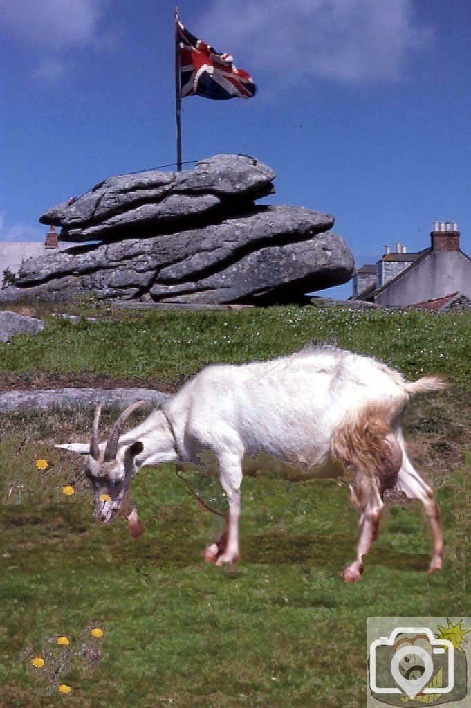 Goat and Union Flag commemorating Queen's Silver Jubilee, 1977