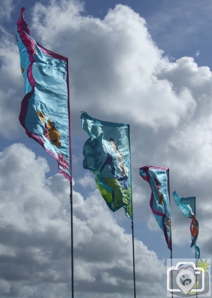 Golowan Flags 2008 - 5