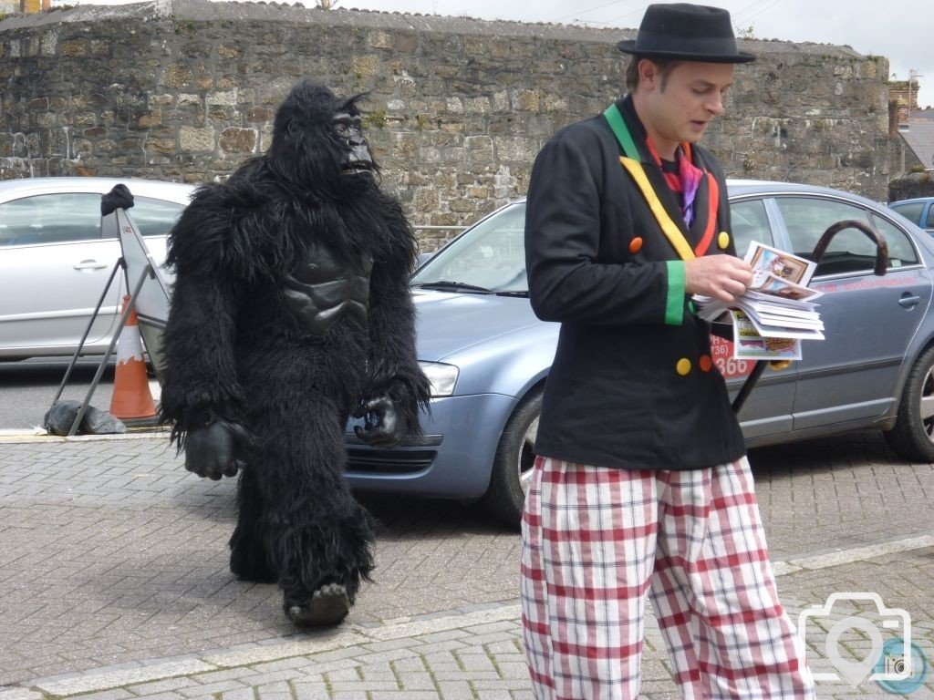 Gorilla in town