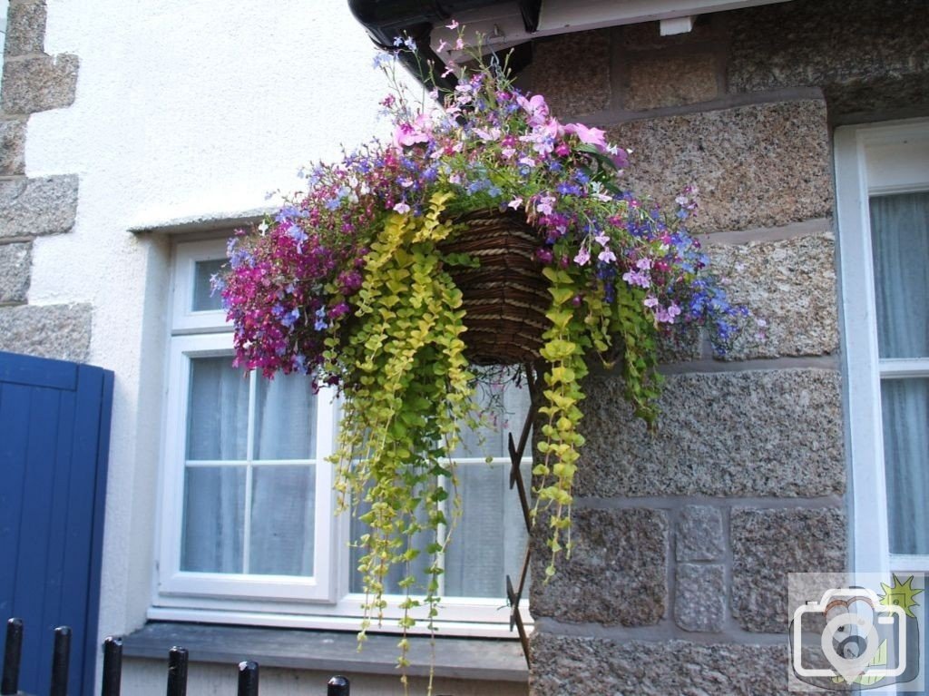 Hanging basket