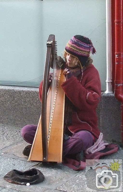 Harp