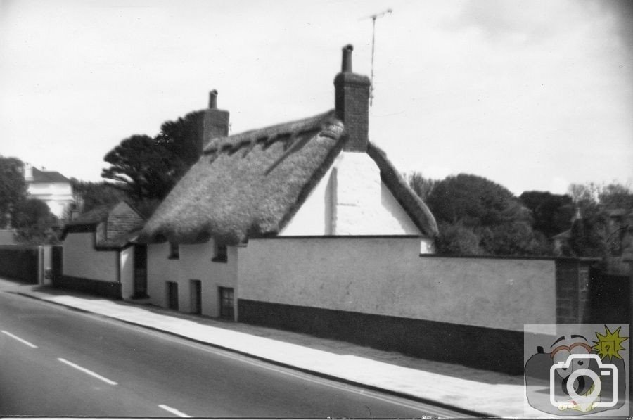 Hawke's Farm, Alverton, Penzance 1975