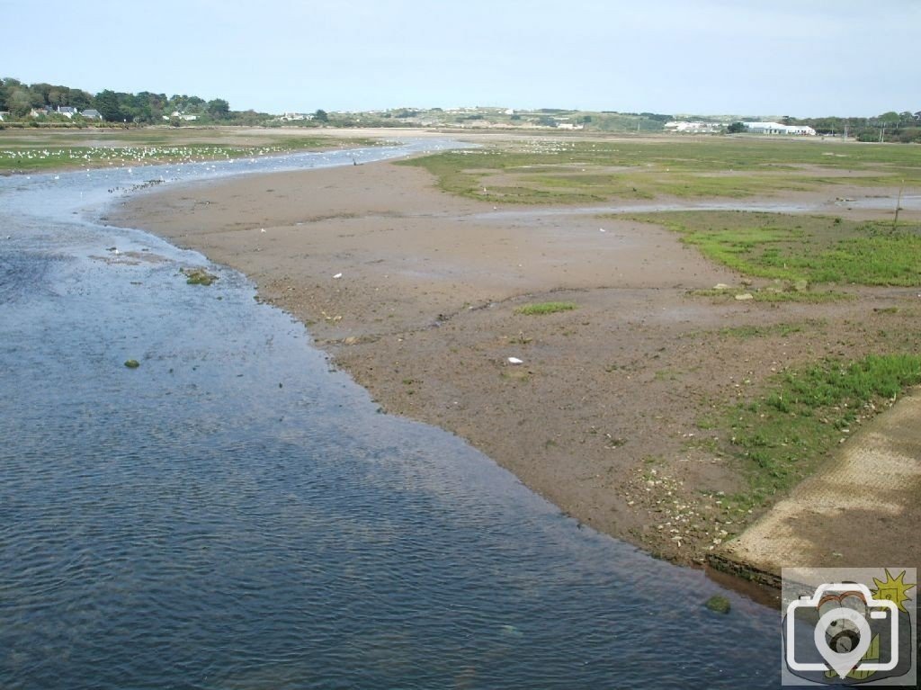 Hayle Estuary: Sept., 2007
