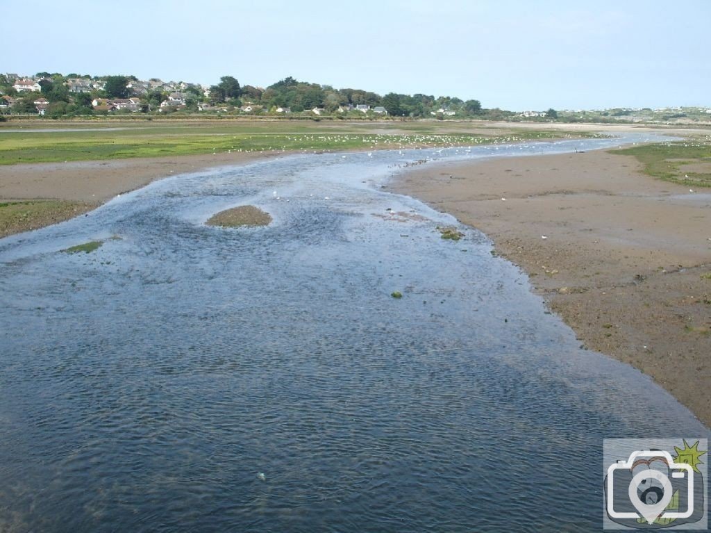 Hayle Estuary: Sept., 2007