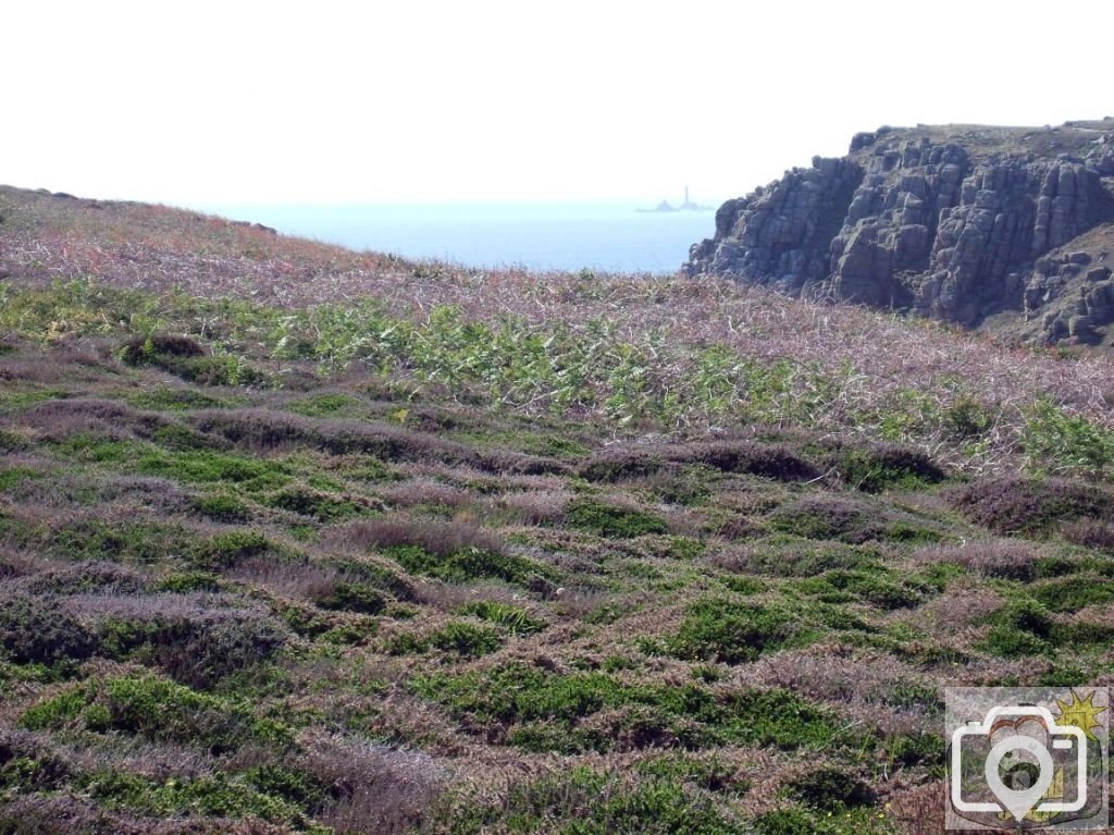 Heathland on the clifftops