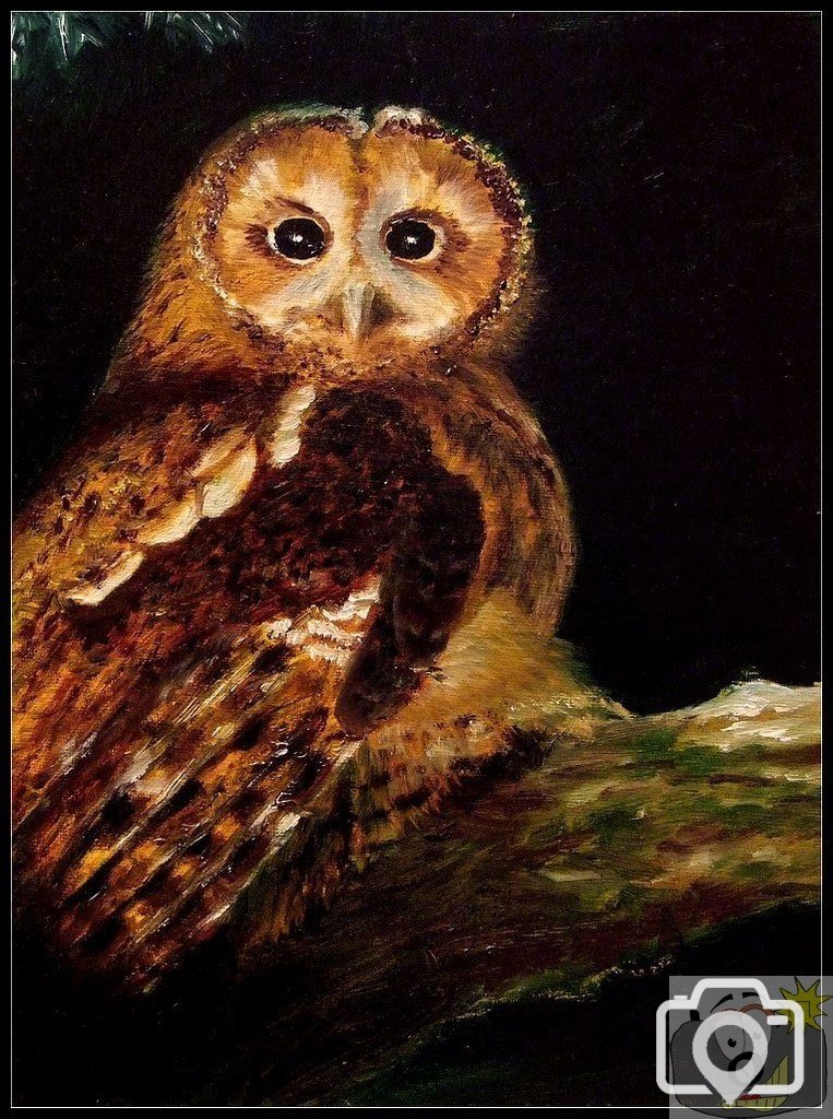 Here's Looking at You