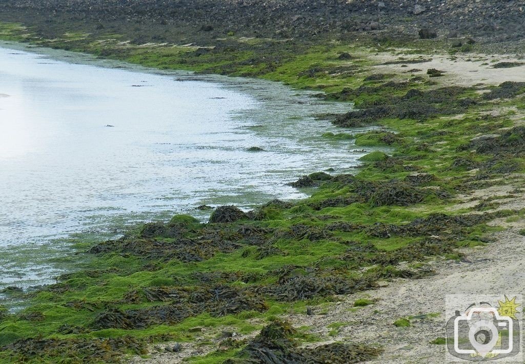 Heyl Bank, The Spit, Hayle