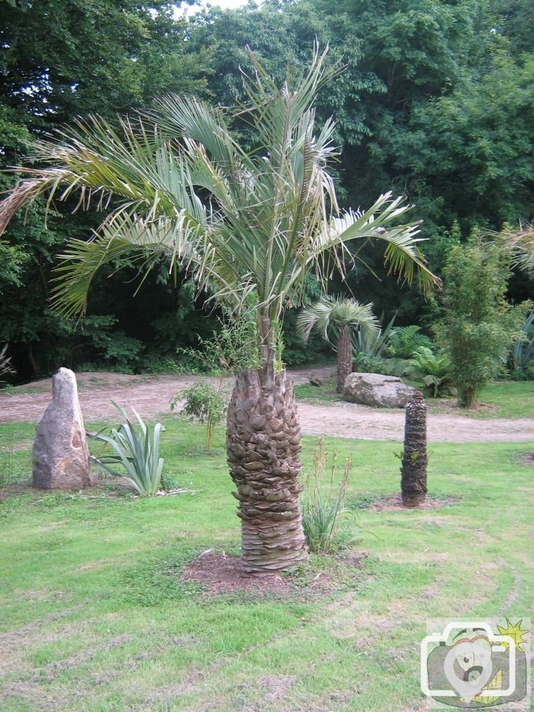 Hidden garden