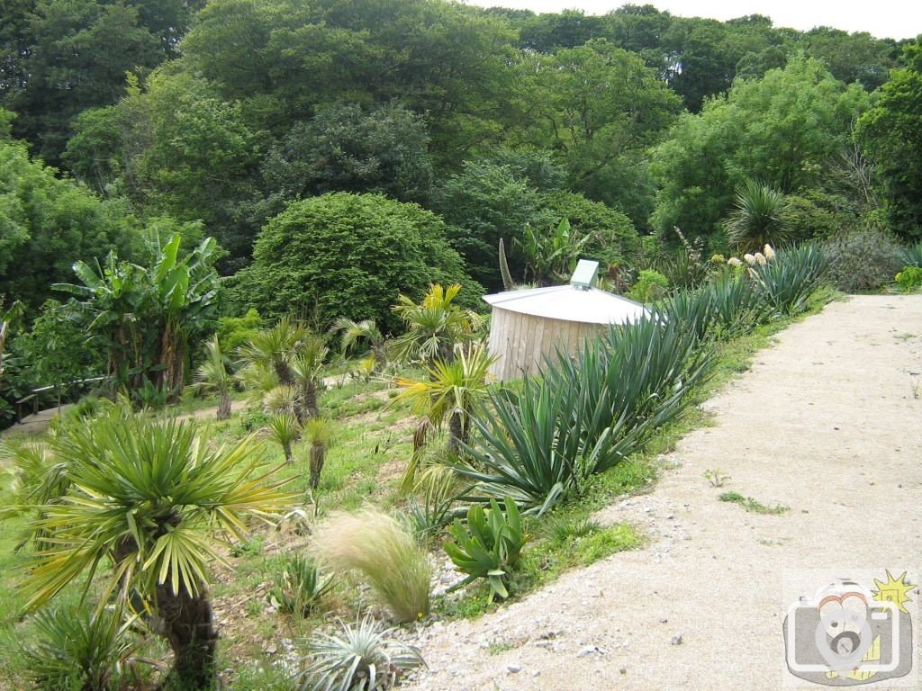 Hidden garden