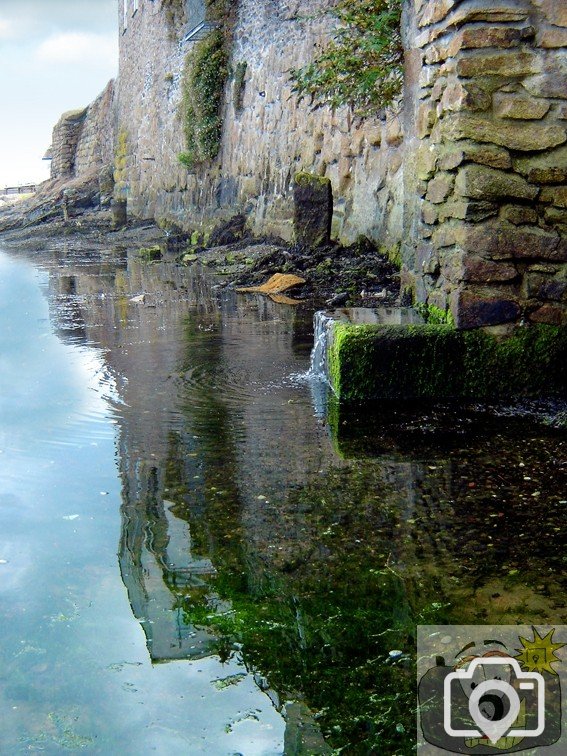 High Tide Old Quay 2