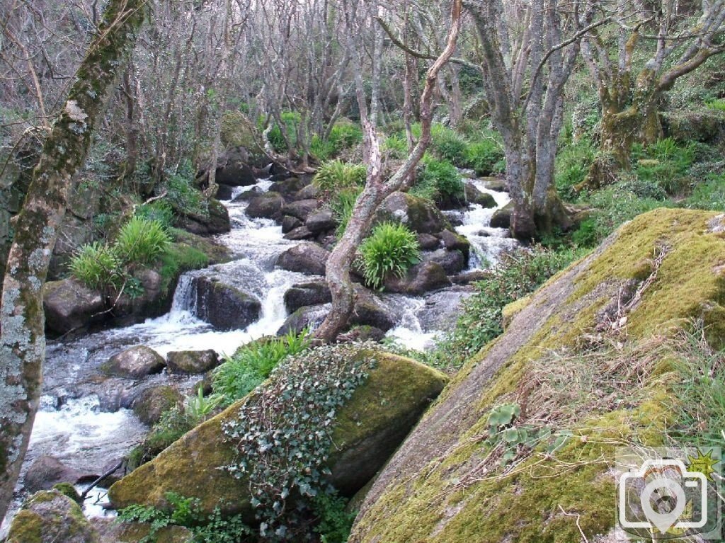 Lamorna Cove - its river