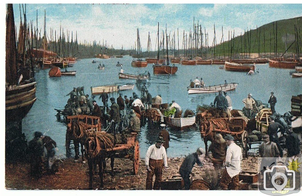 Landing fish at Newlyn