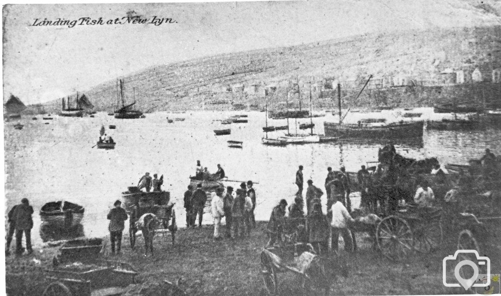 Landing Fish at Newlyn