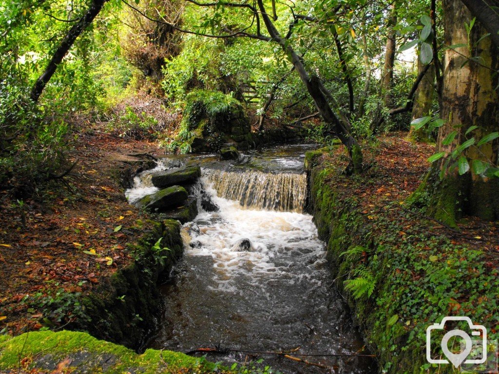 Lariggan Brook (1)