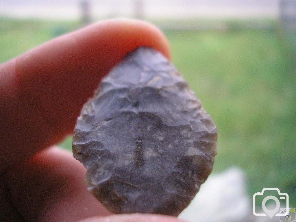 Leaf shaped arrowhead