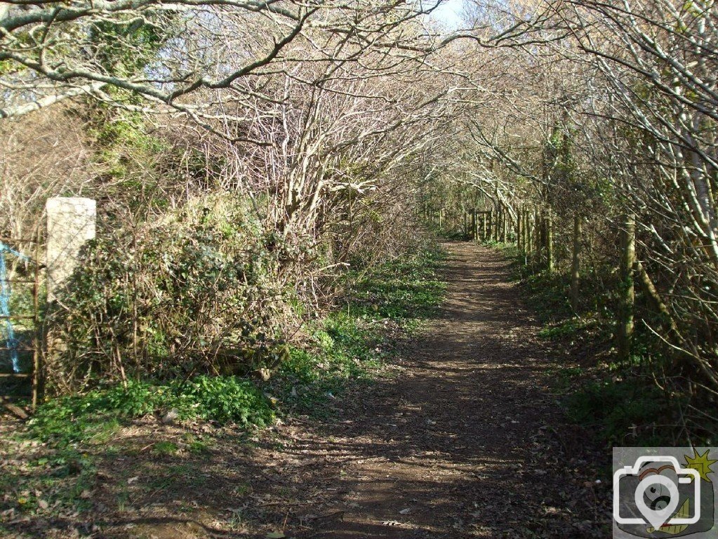 Leaving the Clay Pits - St Erth - 11Mar10