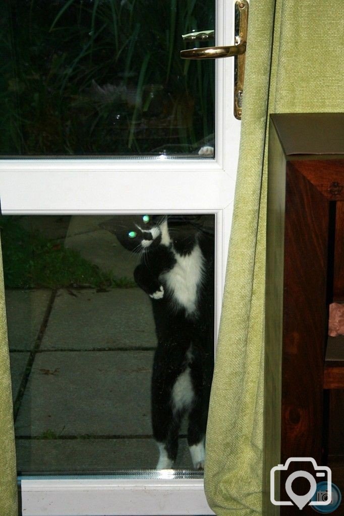 let me in i can see you!
