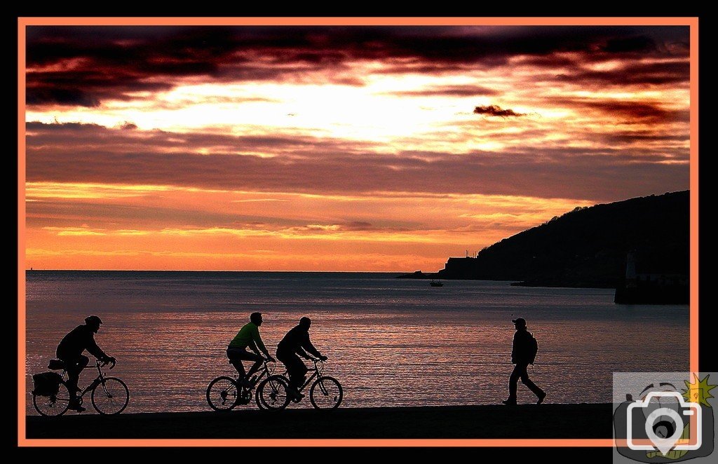 Life's Cycles