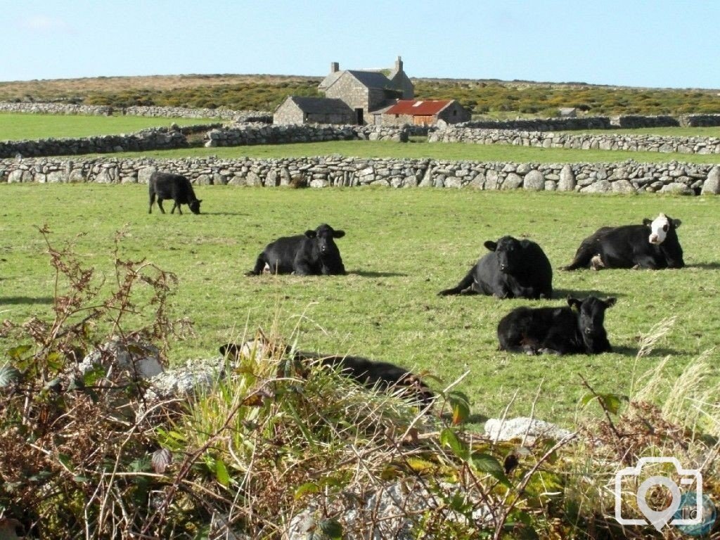 Little Bosullow, Carn Galva and Lanyon - 16th Oct, 2012