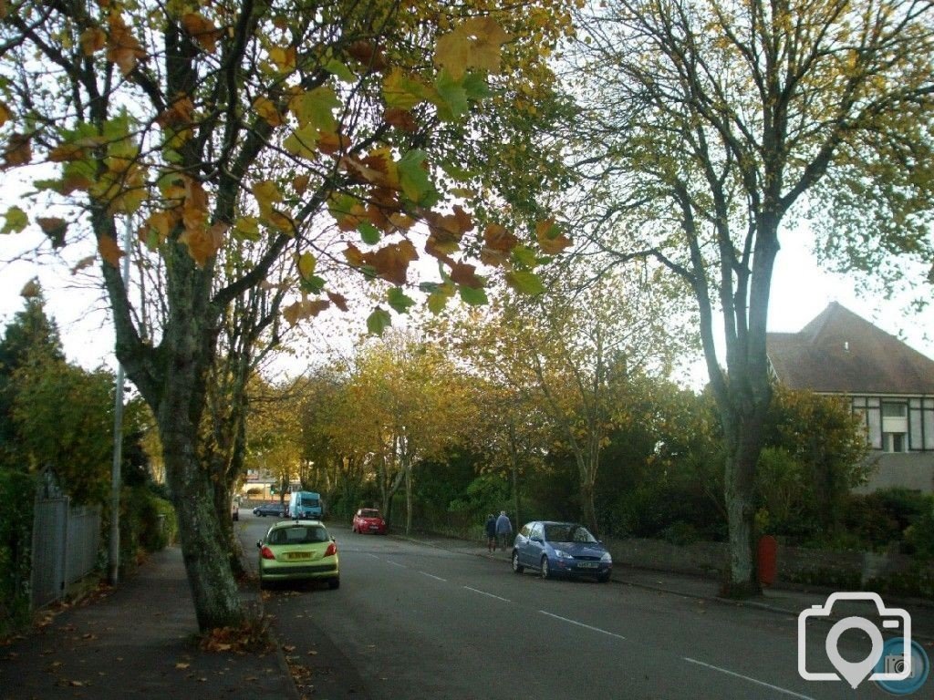 Looking down Alexandra Road in Autumn, 4th Nov10