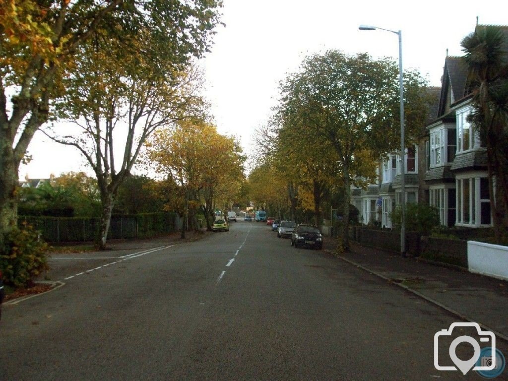 Looking down Alexandra Road in Autumn, 4th Nov10