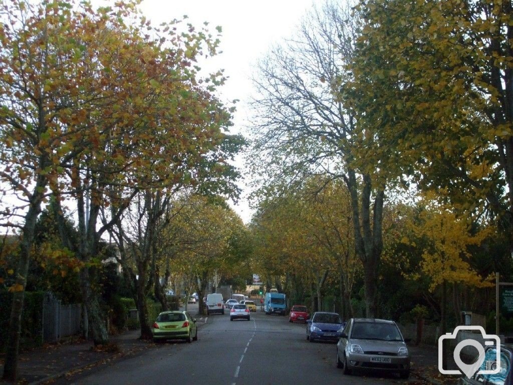 Looking down Alexandra Road in Autumn, 4th Nov10