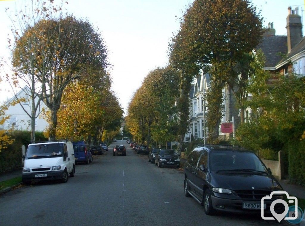 Looking up Alexandra Road in Autumn, 4th Nov10