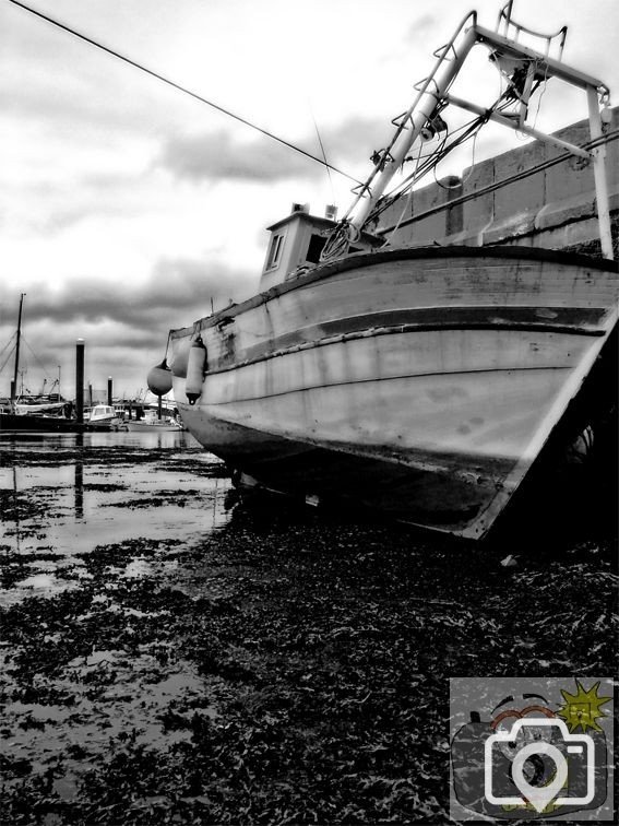 Low Tide Newlyn