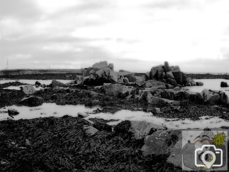 Low Tide Rocks