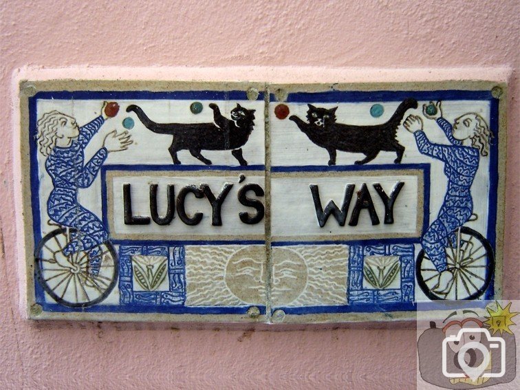 Lucy's Way
