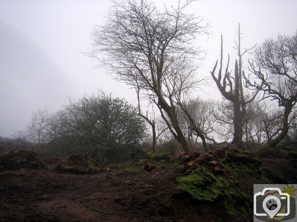 Madron Carn - warzone