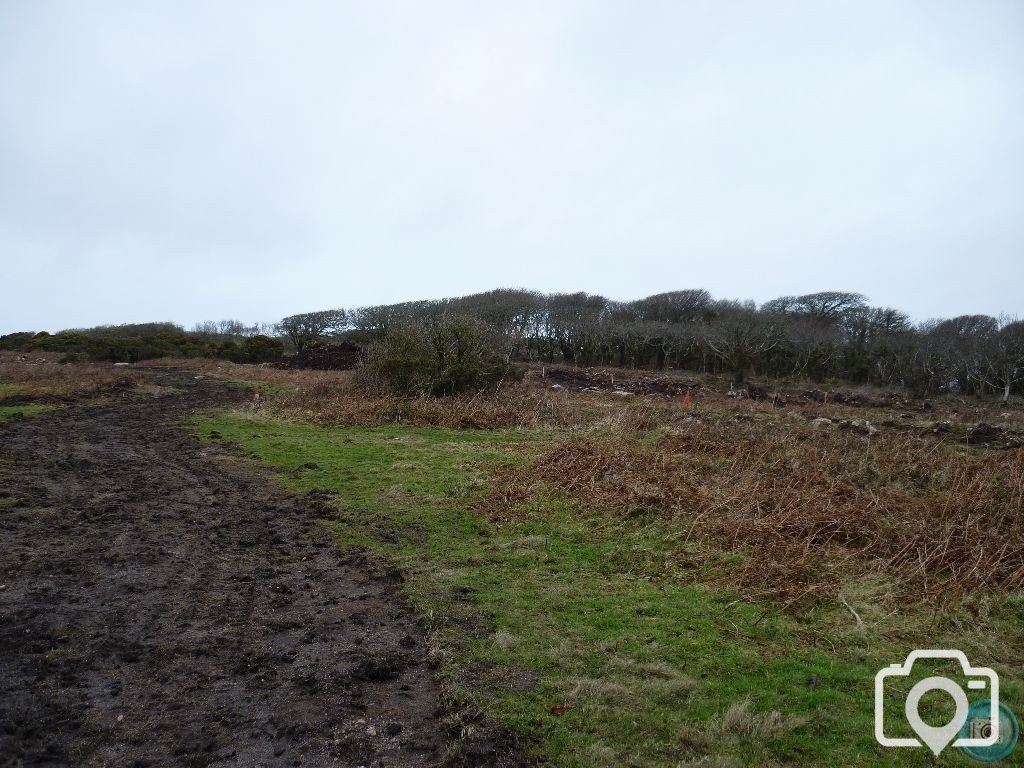 MADRON CARN