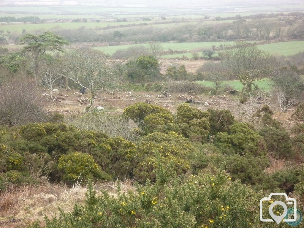 MADRON CARN