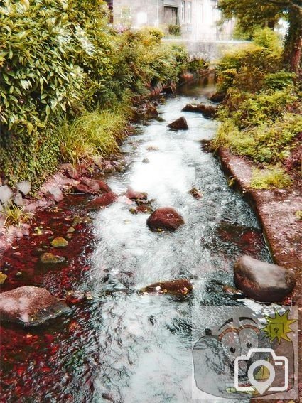 Magic River