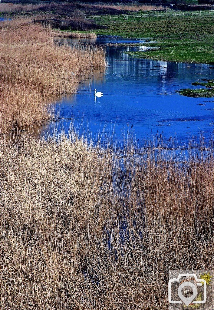 MARAZION SANCTUARY