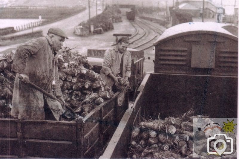 Marazion Sidings