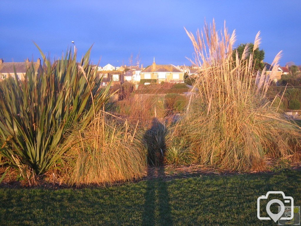 Me and my shadow