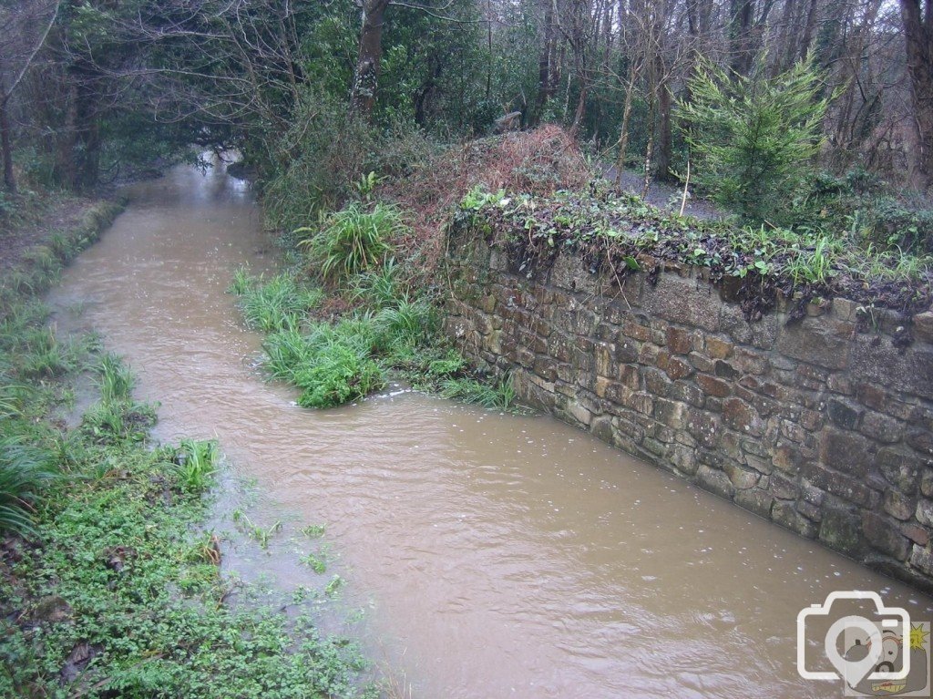 Millpond Stream. Hayle