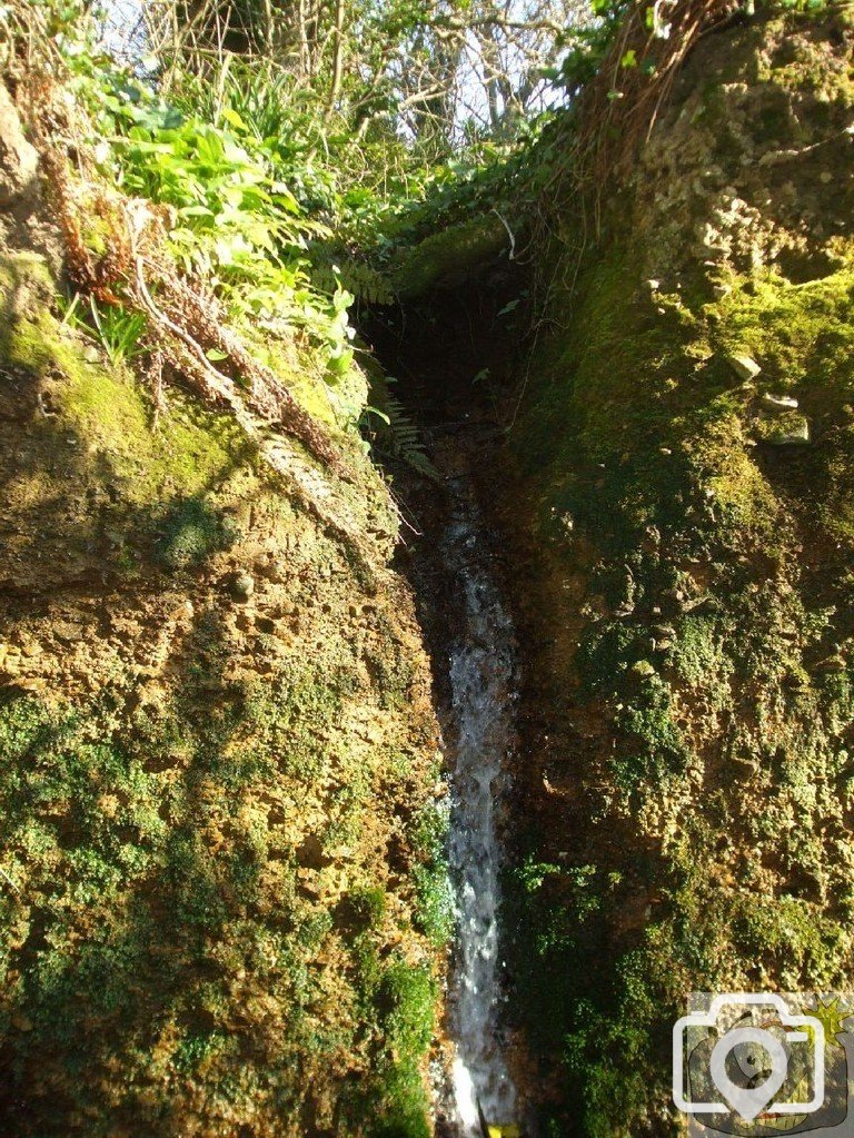 Mini-waterfall, St Erth - 11th March, 2010
