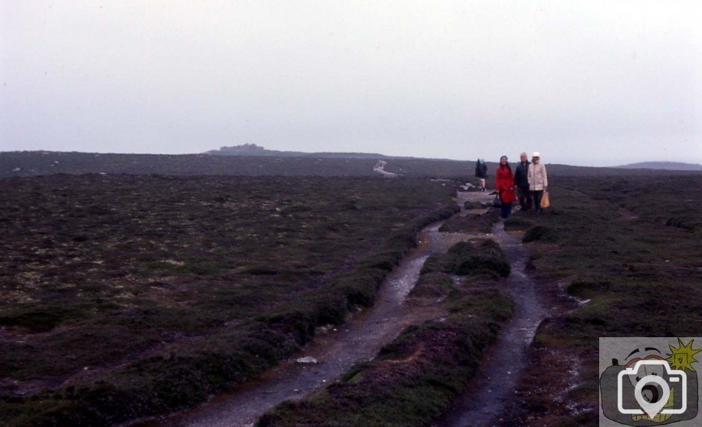 Moorland, Tresco -Scilly