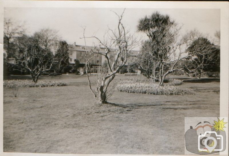 Morrab Gardens 1960s