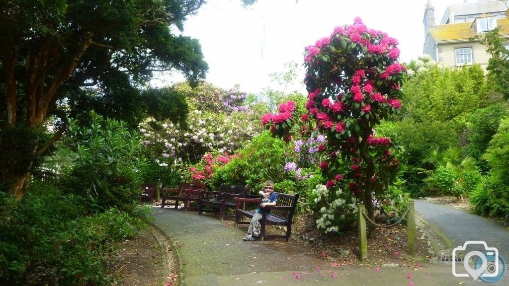 Morrab Gardens in Bloom