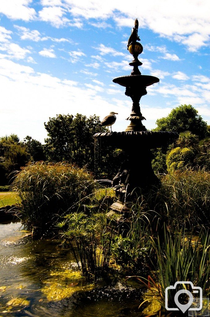 Morrab Gardens