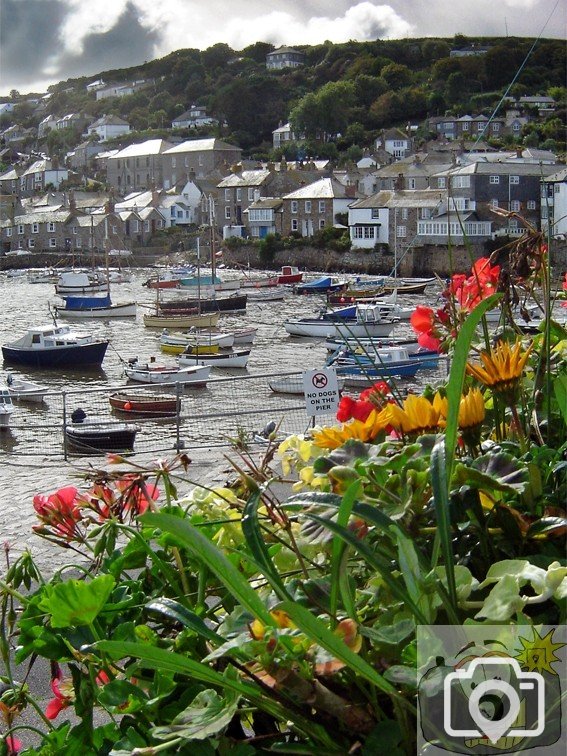 Mousehole Views 13
