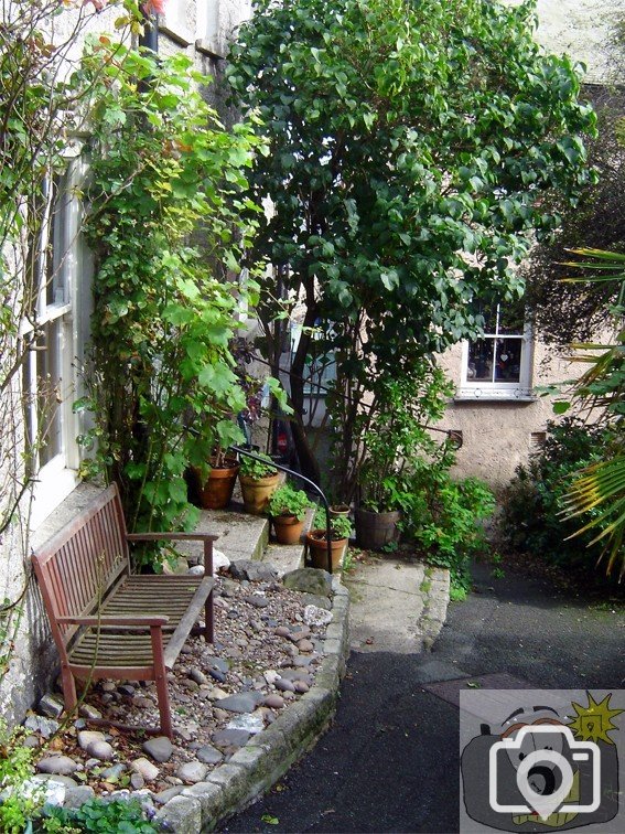 Mousehole Views 15
