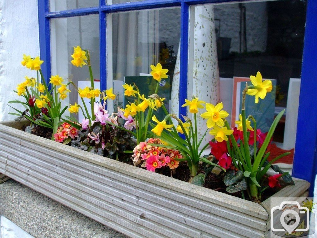 Mousehole welcomes in Spring - 17Mar10