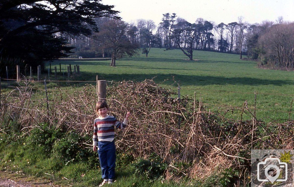 My daughter near Trewidden Gardens - May, 1984