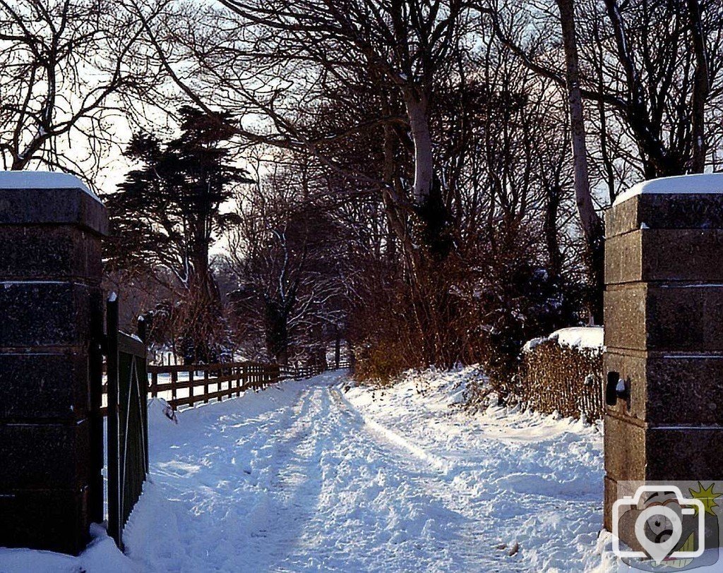 Nancealverne Drive, by The Lodge (now gone)