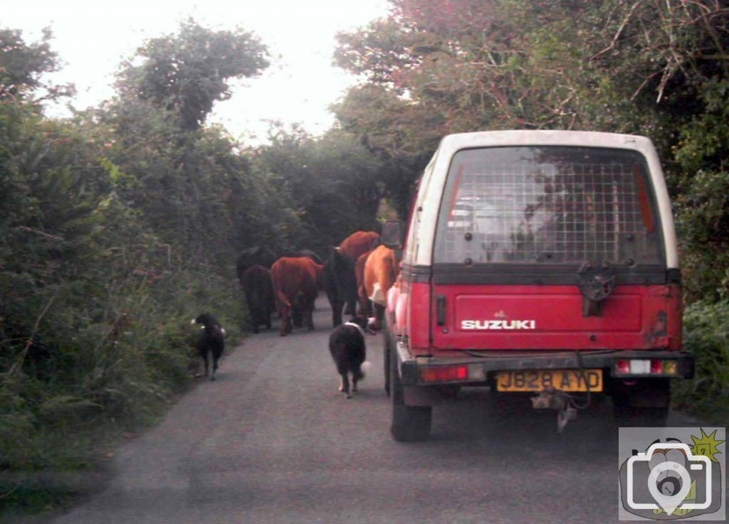 Nancledra traffic jam
