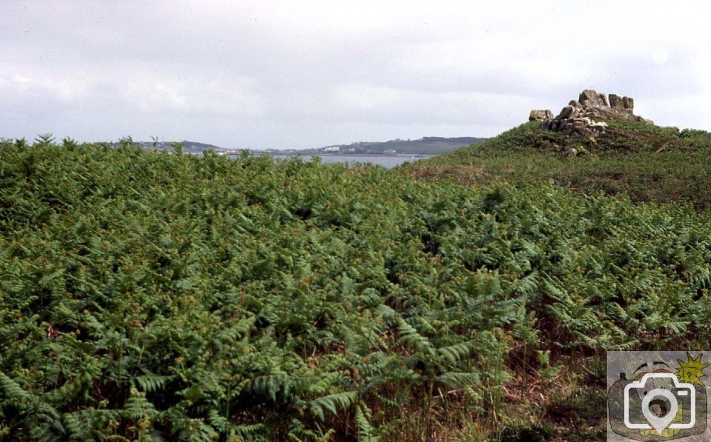 Near the Carn, Tresco, Scilly